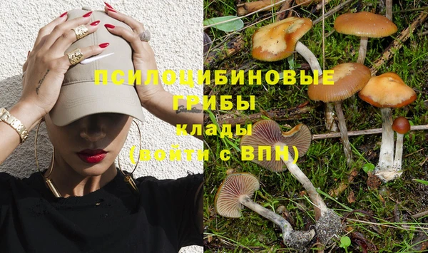 таблы Белокуриха